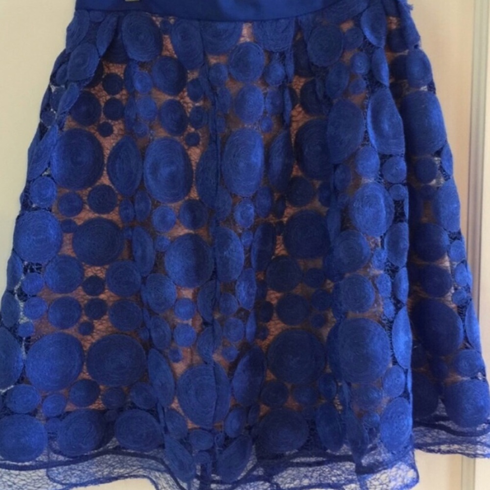 Anthropologie Skirt Blue